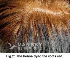 250403110944_Hair-Dying with henna-s.jpg
